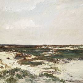 The Dunes At Camiers