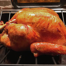 Turkey In Roasting Pan by Eising Studio