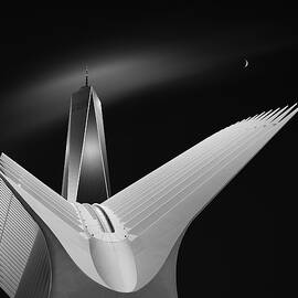 Wings by Aidong Ning