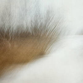 Wintertime by Nel Talen