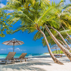 Beautiful Beach Landscape. Summer by Levente Bodo