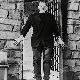 BORIS KARLOFF in FRANKENSTEIN FRANKENSTEIN -1931- -Original title FRANKENSTEIN-. by Album