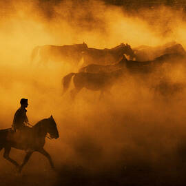 Cowboy by Feyzullah Tunc