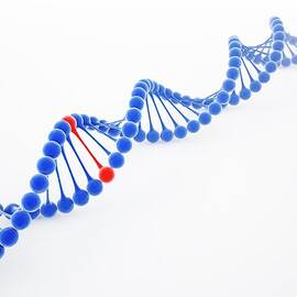 Dna Molecule, Artwork by Science Photo Library - Andrzej Wojcicki
