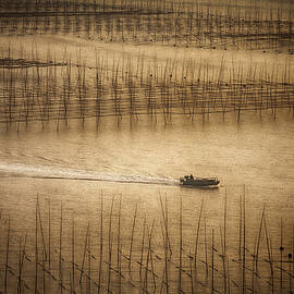 Finish by Angela Muliani Hartojo