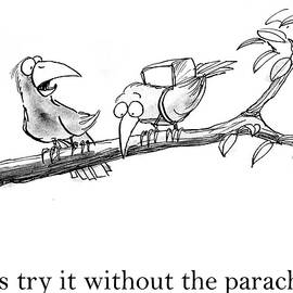 Let's Try It Once Without The Parachute by Andrew Toos