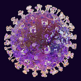 Nipah Virus Particle by Science Photo Library