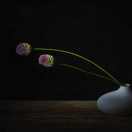 Simple Comme Bonjour. by Saskia Dingemans