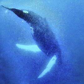 The Deep by Louise Lindsay