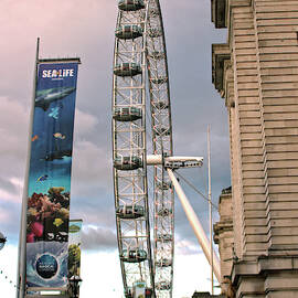 The London Eye by Doc Braham
