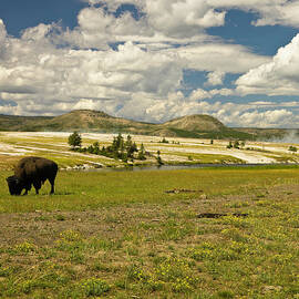 Usa, Montana, Yellowstone National by John Wang