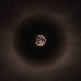 22 Degree Halo Around Moon, Bishop, California, Usa by Alex Eggermont