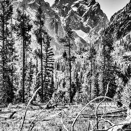 Grand Tetons by Bruce Block