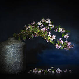 Springtime by Saskia Dingemans