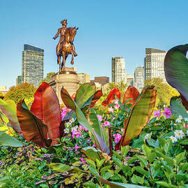 Statue, Public Garden, Boston Ma by Laura Zeid