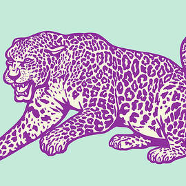 Cheetah by CSA Images