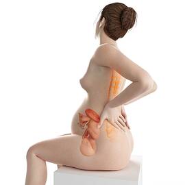 Pregnant Woman With Backache