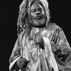 George Clinton by Concert Photos