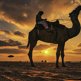 A Bedouin by Benny Gross