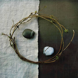 A Bit Of This And A Bit Of That by Fiona Crawford Watson