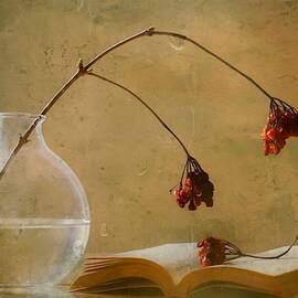 A Book by Delphine Devos