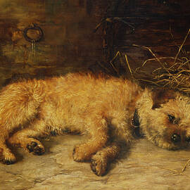 A Border Terrier Puppy, 1884 by Philip Eustace Stretton
