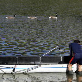 A Boy Adjusts His Boat As Geese Swim by Kevin Coombs