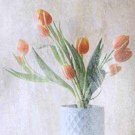 A Bunch Of Tulips by Delphine Devos