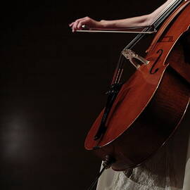 A Female Cellist Playing Cello On by Sot
