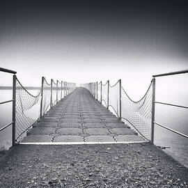 A Foggy Day by Olavo Azevedo
