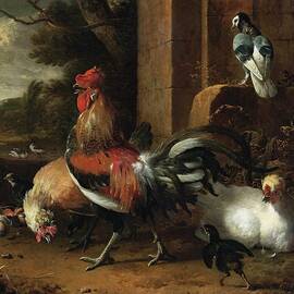 A Poultry Yard