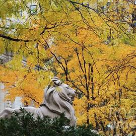 Manhattan's Public Library In Autumn by Marcus Dagan