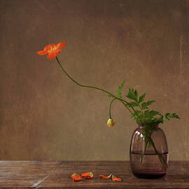 A Story With Orange Poppies by Galina Bunkova