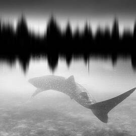 A Whale In The River?  In The Future Who Knows by Francesca Ferrari