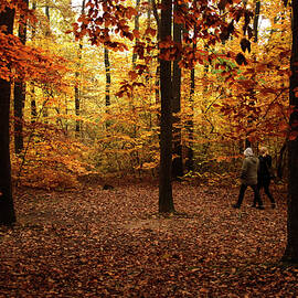 A Woman Walks on a Leaf-covered Path by Leonhard Foeger