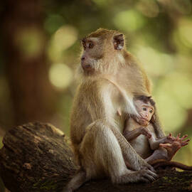 About Love by Gunarto Song