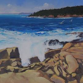 Acadia Surf by Bill Tomsa