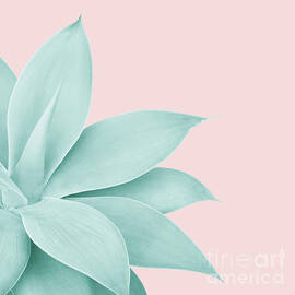 Agave Finesse #7 #tropical #decor #art by Anitas and Bellas Art