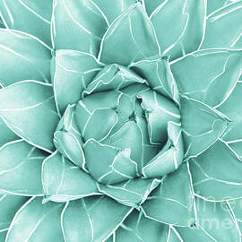 Agave Queen Succulent #2 #tropical #decor #art by Anitas and Bellas Art