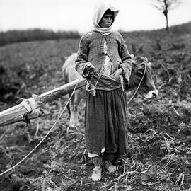 Agriculture Traditionnelle En Turquie by Keystone-france