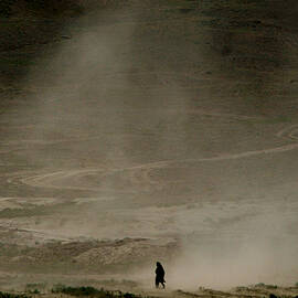 AN AFGHAN GIRL LOOKS FOR HER SHEEP by Arko Datta