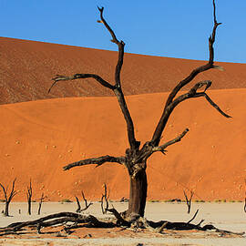 Ancient by Manginiphotography