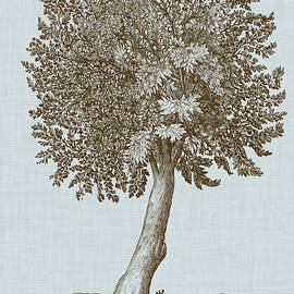 Antique Tree In Sepia I by Vision Studio