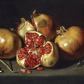 Antonio Ponce / 'Pomegranates', Middle 17th century, Spanish School.
