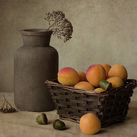 Apricots rustic art print by Gergana Chakarova