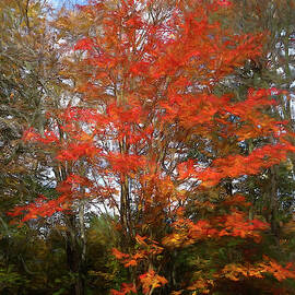 A Red-Lief Tree in the Fall by Isabela and Skender Cocoli
