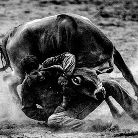 At the Rodeo by S Katz