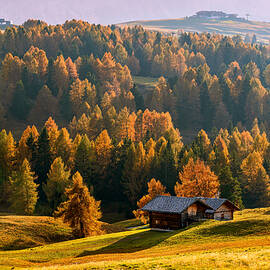 Autumn At Alpe Di Siusi by Ariel Ling