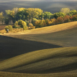 Autumn Fields... by Krzysztof Browko