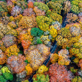 Autumn Firework 2 by Srecko Jubic